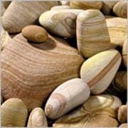 Cover Image for من قال إن الطبع يغلب التطبع ؟