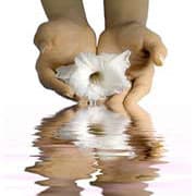 Cover Image for ومن كمال الخلق المداراة