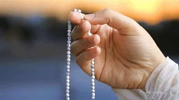 Cover Image for سبق المفرِّدون