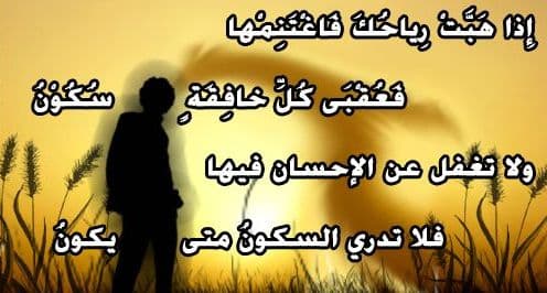 Cover Image for أيها الإنسان.. البدار! البدار!