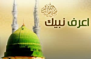 Cover Image for ذكرى المولد النبوي مناسبة لمعرفة الرسول والتعريف به