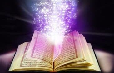 Cover Image for الدعوة الرسالية