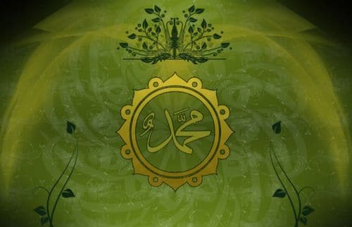 Cover Image for مولد الهدى