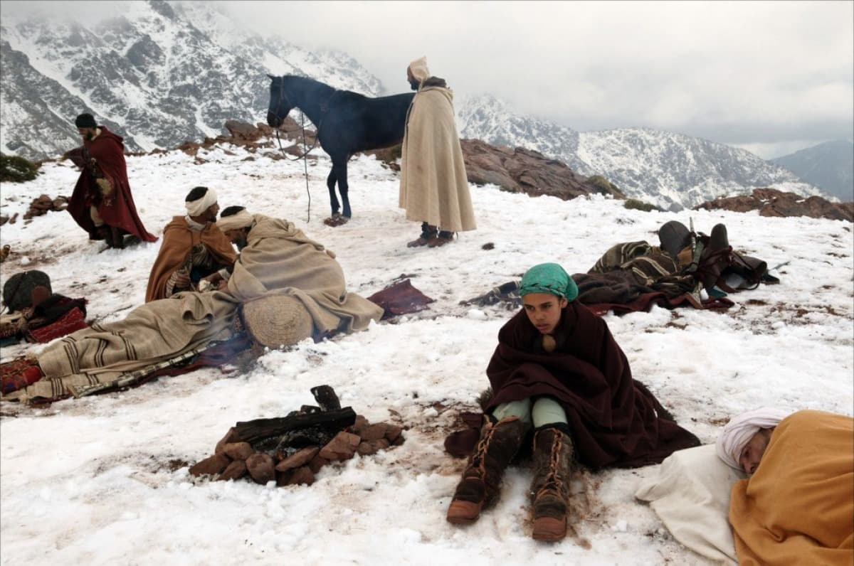 Cover Image for حكاية السندباد وفقراء الثلج