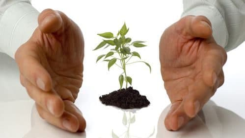 Cover Image for آليات التربية الإيمانية الإحسانية عند الإمام ياسين