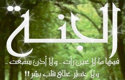 Cover Image for الجنة ونعيمها 2/1