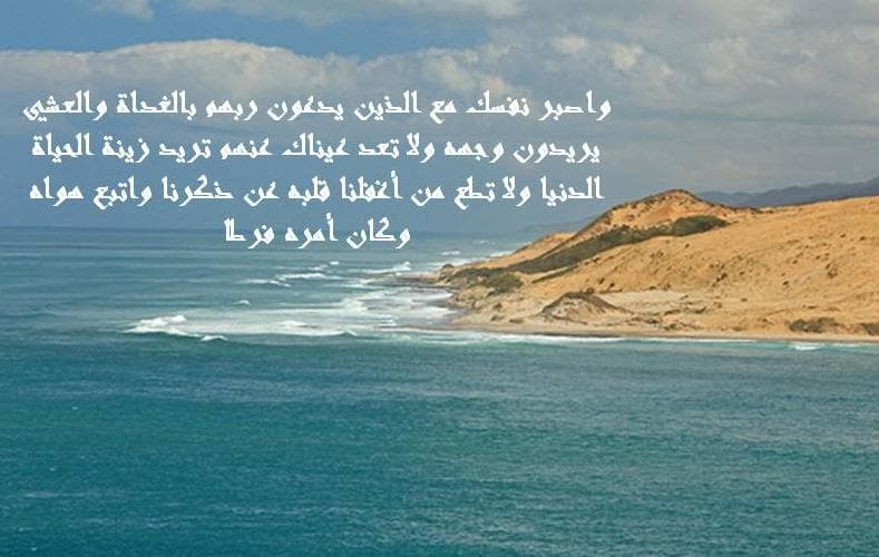 Cover Image for السفينـــــــة و الربـــــــان