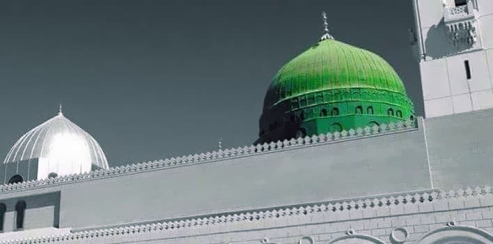 Cover Image for لزوم محبة النبي صلى الله عليه وسلم ووجوبها