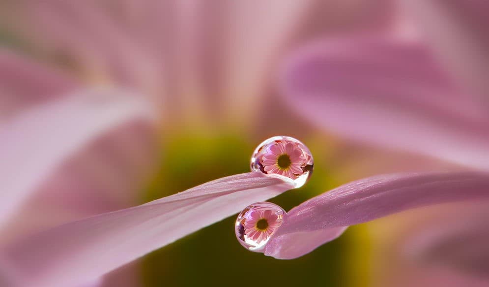 Cover Image for السعداء في الآخرة