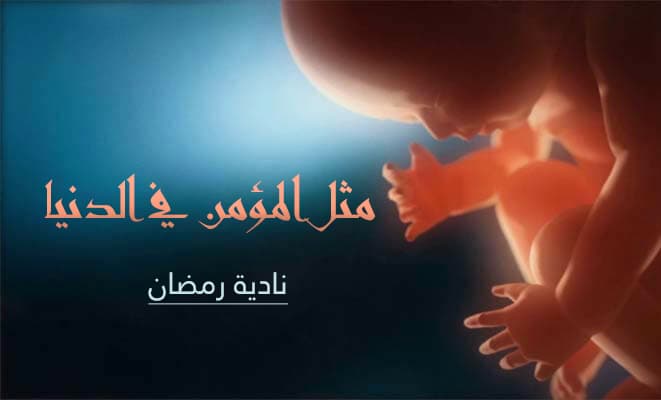 Cover Image for مثل المؤمن في الدنيا