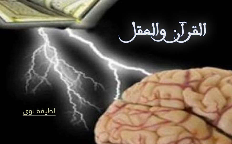 Cover Image for القرآن والعقل
