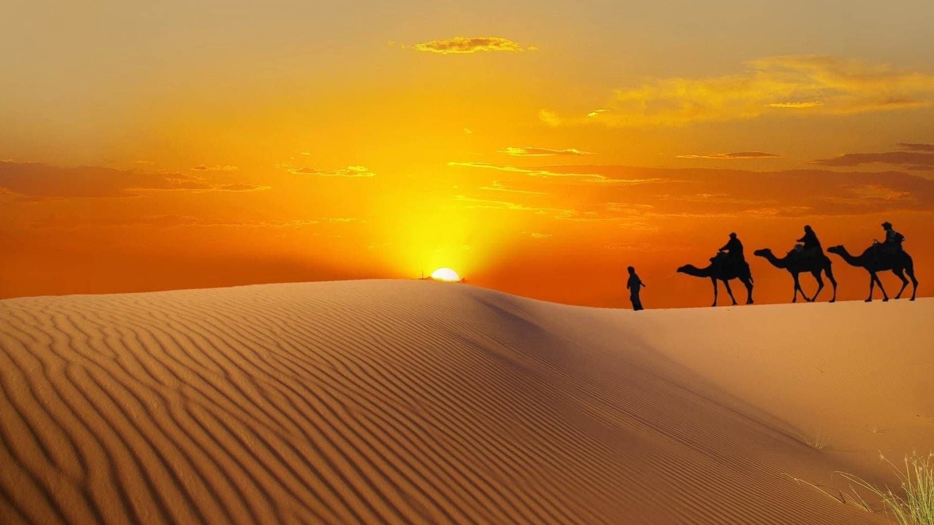 Cover Image for الهجرة النبوية: دروس وعبر