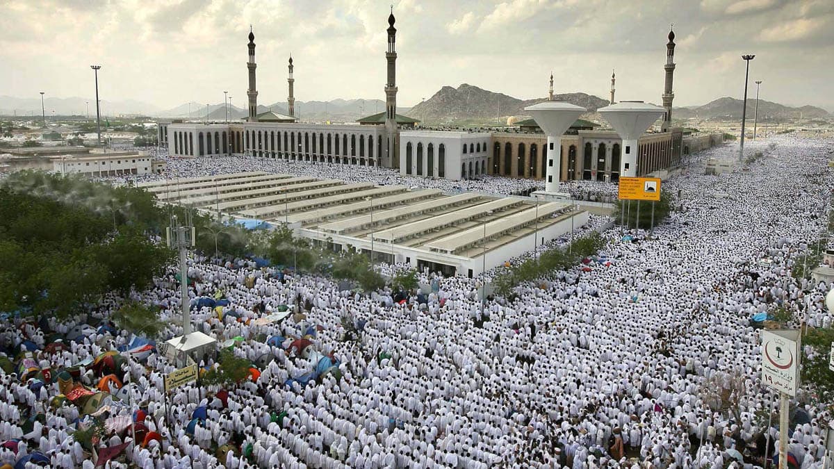 Cover Image for عرفة.. تاج العشر