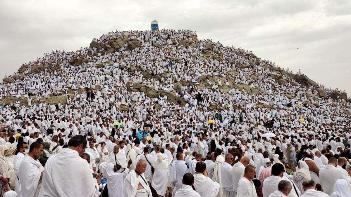 Cover Image for اليوم المشهود عرفة