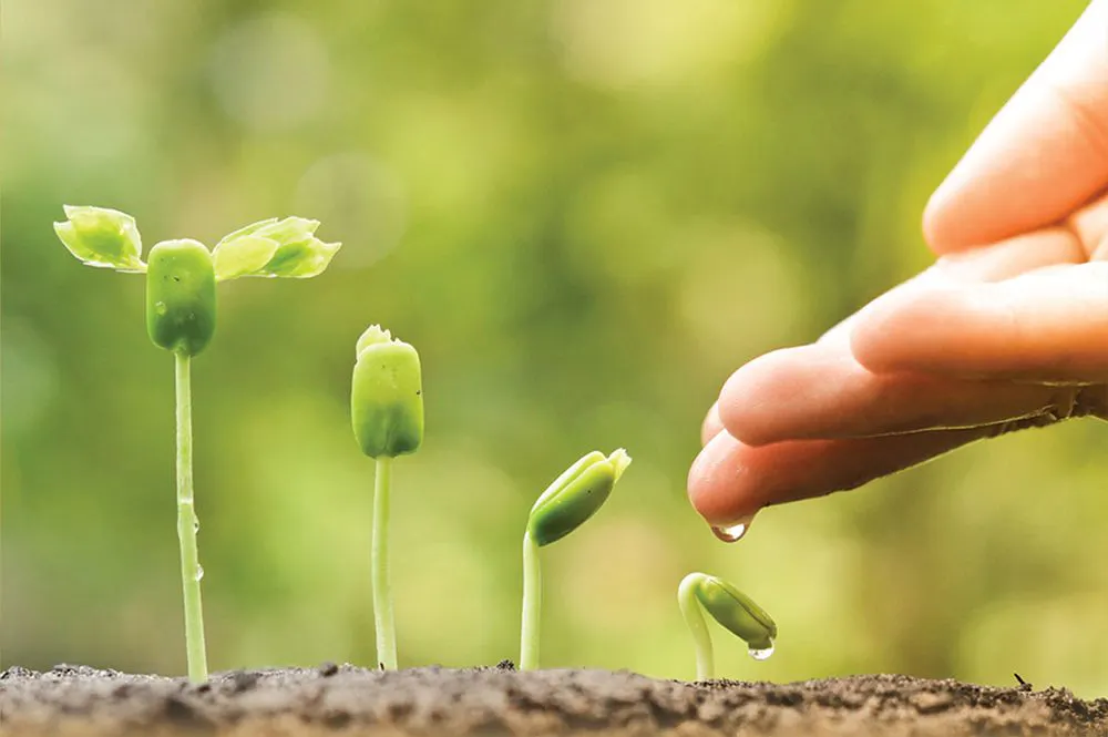 Cover Image for قانوني في الحياة.. إِنَّا لَا نُضِيعُ أَجْرَ مَنَ اَحْسَنَ عَمَلاًۖ