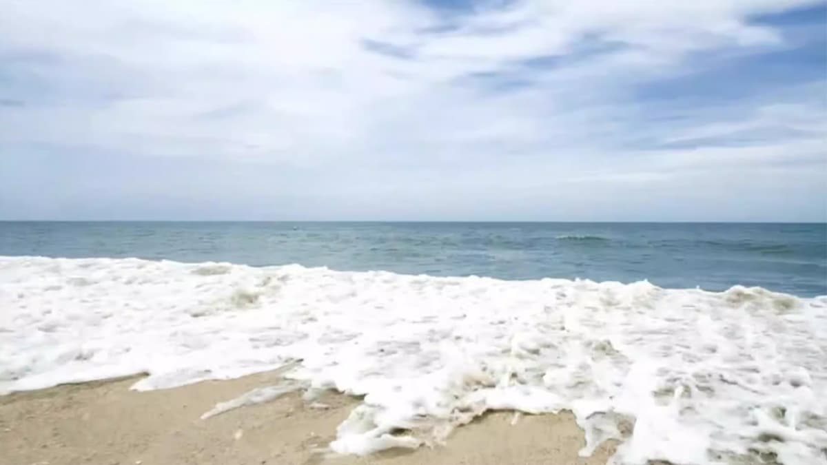 Cover Image for زبدُ البحر.. حين يعلو الباطل ليزول