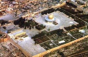 Cover Image for مؤسسة القدس تستنكر قرار تحويل ساحات المسجد الأقصى إلى حدائق عامة