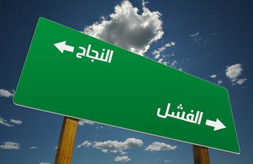 Cover Image for مأسسةُ الفشل