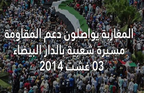 Cover Image for مشاهد متميزة من مسيرة الدار البيضاء (فيديو)