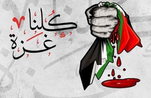 Cover Image for غزة: قرة العين
