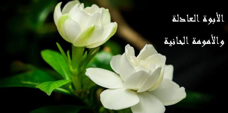 Cover Image for الأبوة العادلة والأمومة الحانية
