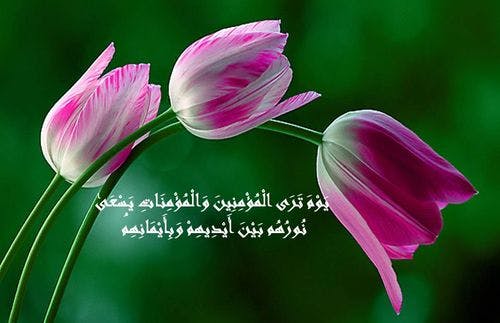 Cover Image for أخوات بشر الحافي
