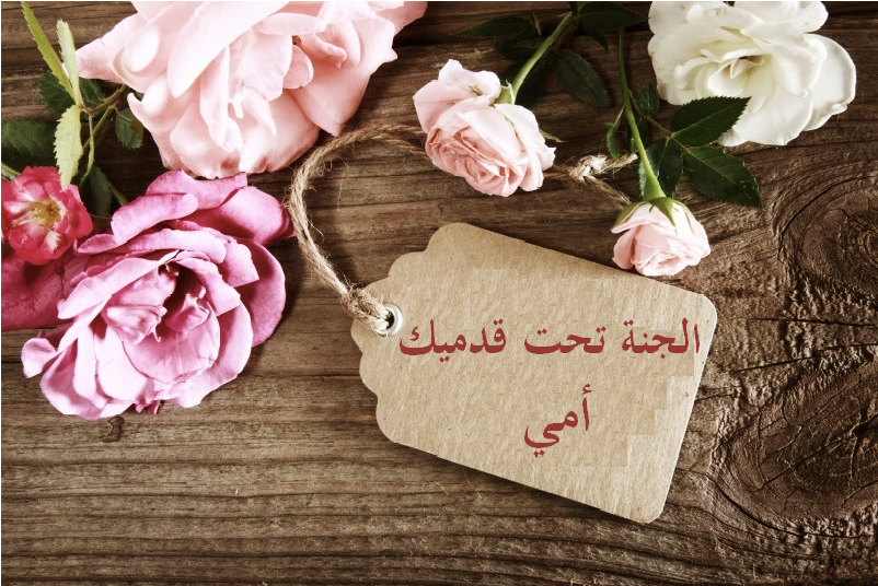 Cover Image for أجمـل هديــــــة