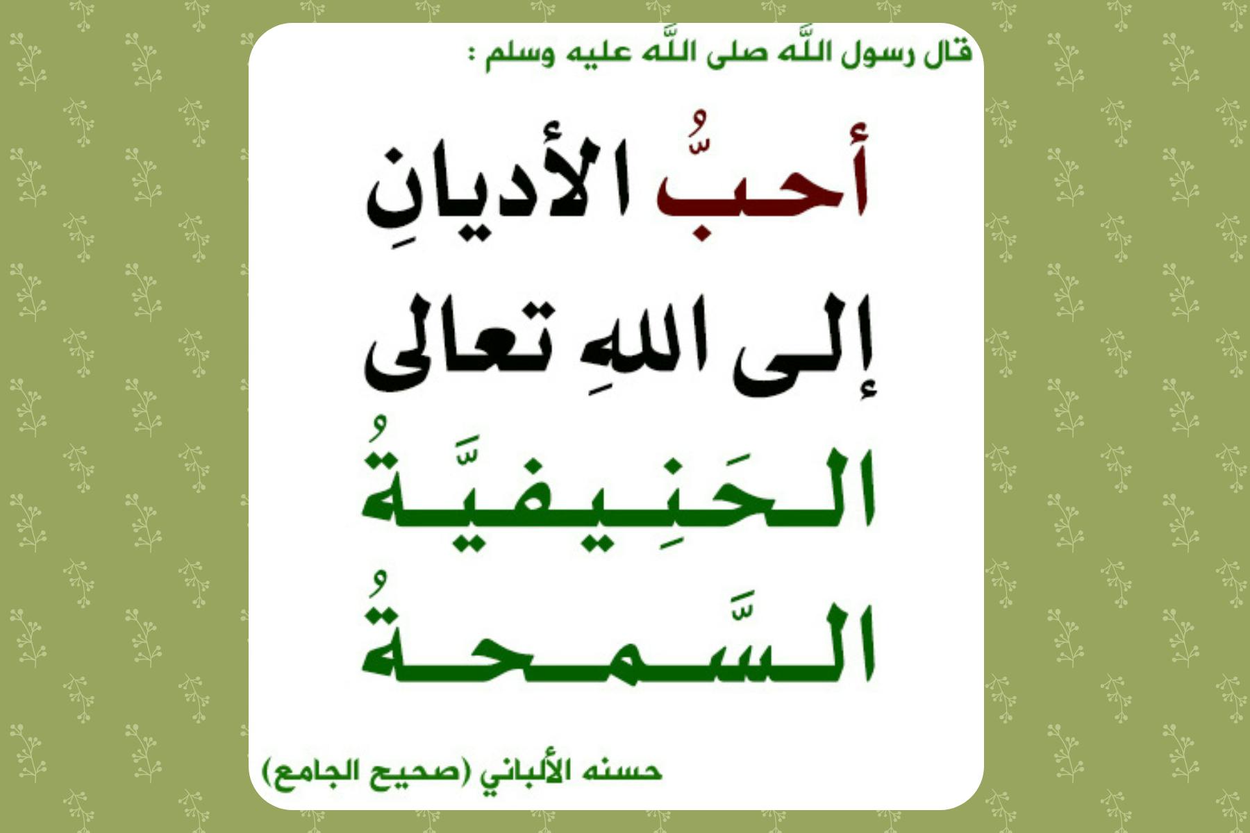 Cover Image for الحنيفية السمحة
