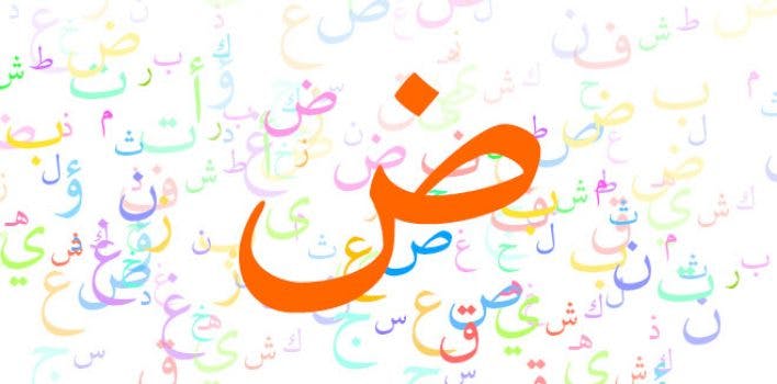 Cover Image for العربية في خطاب عاشق لغة القرآن