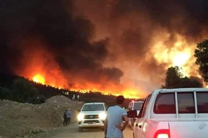 Cover Image for شمال المغرب.. الحرائق تواصل الاشتعال ومجهودات الإطفاء تواجه ضعف الإمكانات