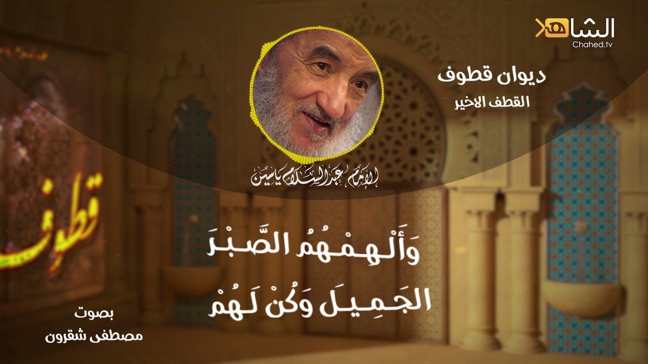 Cover Image for القطف الأخير.. الإمام عبد السلام ياسين